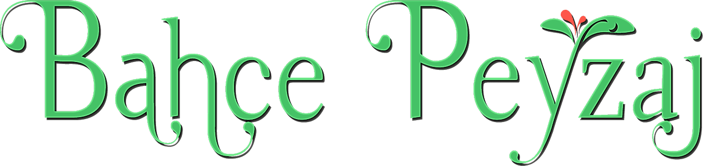 Bodrum Bahçe Peyzaj